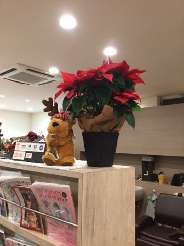 クリスマス３.jpg